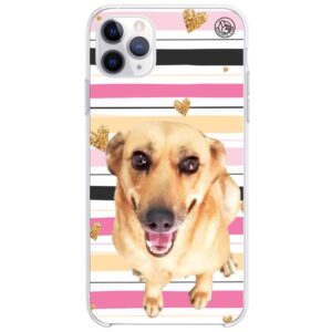 Capinha Personalizada My Pet Golden Hearts