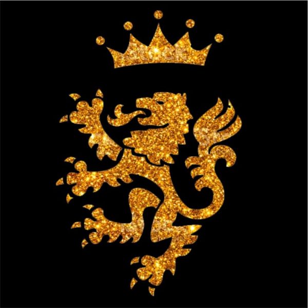 Plaquinha Decorativa RBD Rebelde - Dragão Gold
