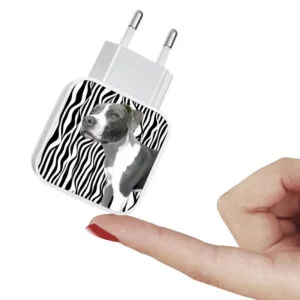 Carregador Turbo Duplo My Pet - Listras Distorcidas