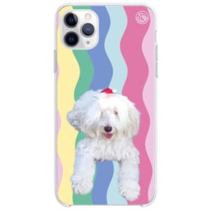 Capinha Personalizada My Pet Cute Zig Zag