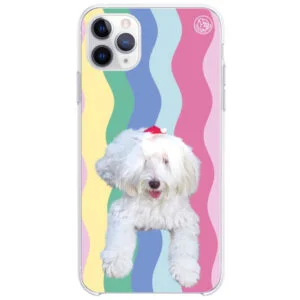 Capinha Personalizada My Pet Cute Zig Zag