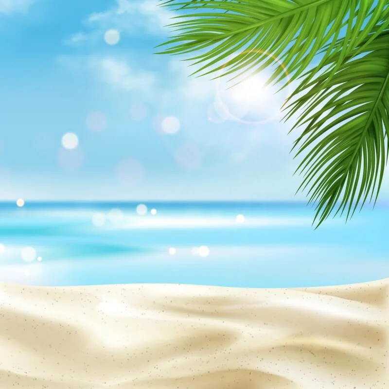 Capinha Personalizada My Pet Summer