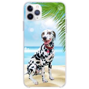 Capinha Personalizada My Pet Summer