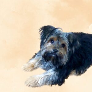 Plaquinha Decorativa My Pet Aquarela Yellow