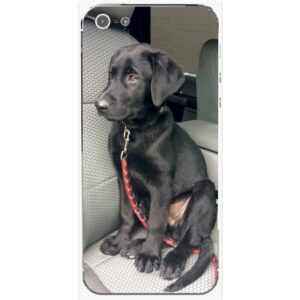 Capinha Personalizada com foto para iPhone 5